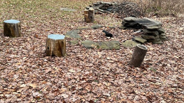 A forest clearing with wooden stumps and rocks arranged in a circle. - Cozy Catskill Mountain Cabin (Margaretville)
