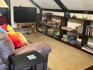 Televisión, chimenea y libros 