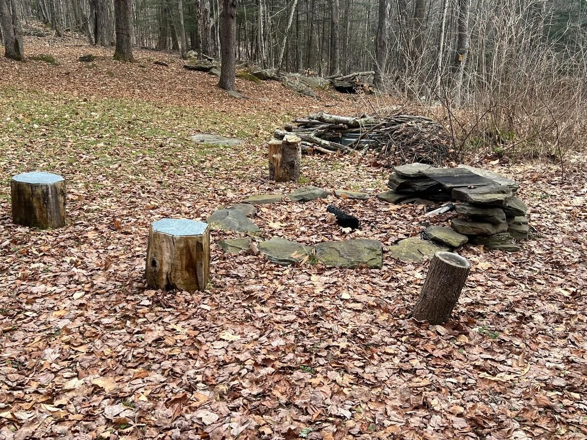 Ein bewaldetes Gebiet mit Holzstümpfen und Steinen, die in einem Muster angeordnet sind.