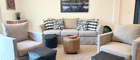 Televisor intel·ligent, llar de foc, videojocs i llibres