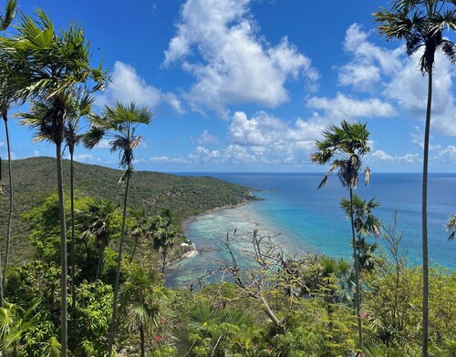 The Palms - Charming Cottages with view of Cam Bay on Great Camanoe
