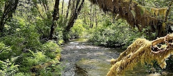 Sweet Root Hollow Retreat