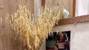 Una habitación con un tapete tejido, un candelabro de vidrio y cañas secas.