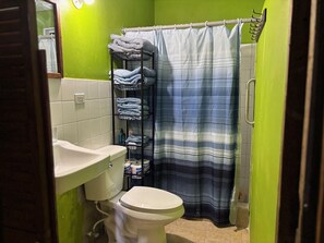 Shower, towels, soap, toilet paper