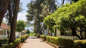 Un sendero pavimentado bordeado de árboles y arbustos que conduce a una masa de agua.