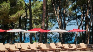 Un área junto a la piscina con sillones de descanso y sombrillas, rodeada de árboles.