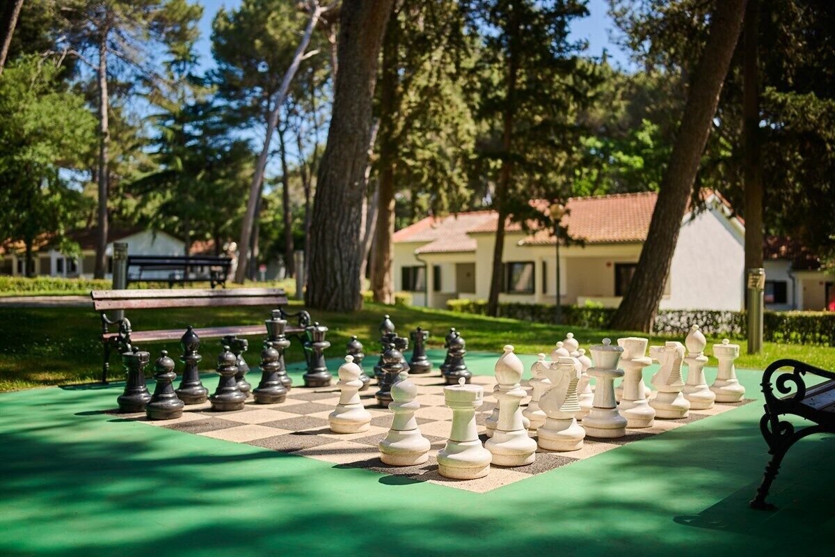 A chessboard set up outdoors with trees and a bench in the background.