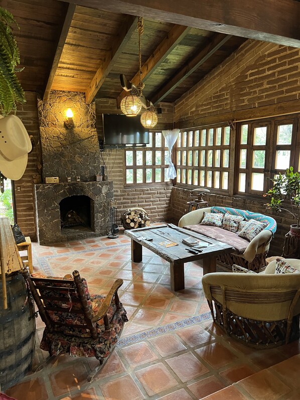 Smart TV, fireplace, books, printers
