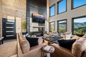 Televisor, llar de foc, videojocs i oficines 