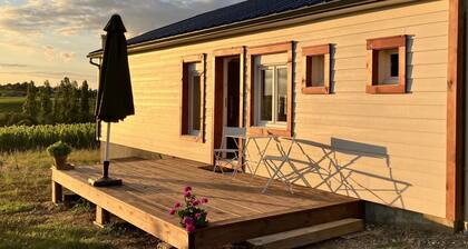Maison en plein coeur des vignes avec belle vue sur les CĂŽteaux du Layon
