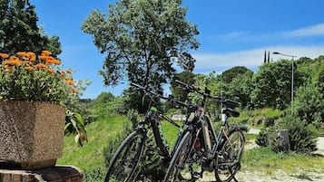 Bicycling