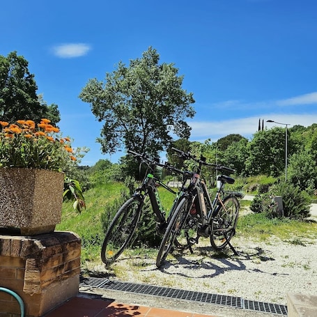 Bicycling
