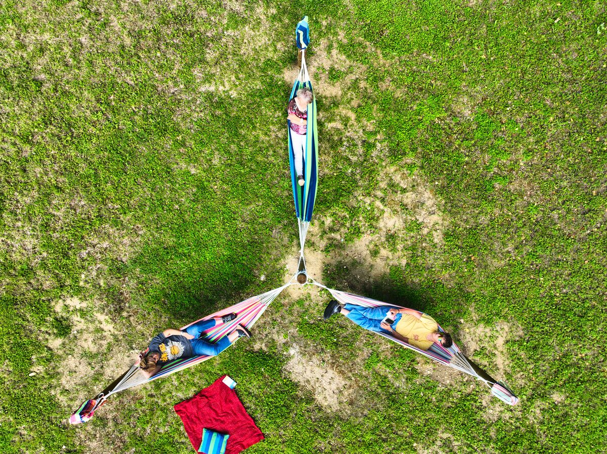 A hammock suspended between three trees in a grassy area.