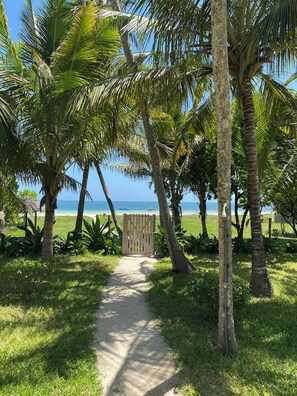 Property grounds - Premium 6-bedroom villa in the World Famous Diani/Galu Beach in Kenya. (Kwale)