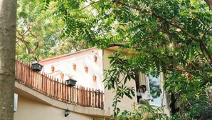 A building with a balcony, a wooden fence, and potted plants. - Jungle Ghar  (Pipariya)