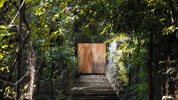 A stone staircase leading up to a wooden door, surrounded by lush greenery and stone walls. - Jungle Ghar  (Pipariya)