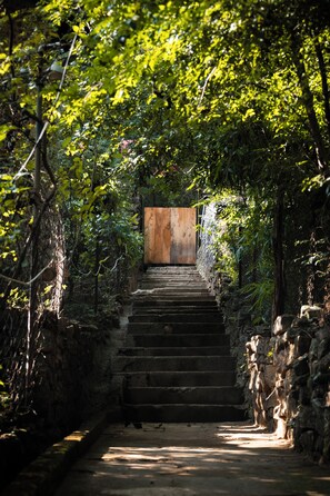 Uma escadaria de pedra que leva a uma porta de madeira, emoldurada por vegetação exuberante e paredes de pedra.