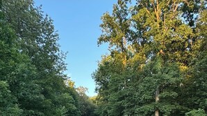 A wooden boardwalk leading through a wooded area with a metal railing on one side. - Charming 2-bedroom apartment near Rend Lake (Benton)