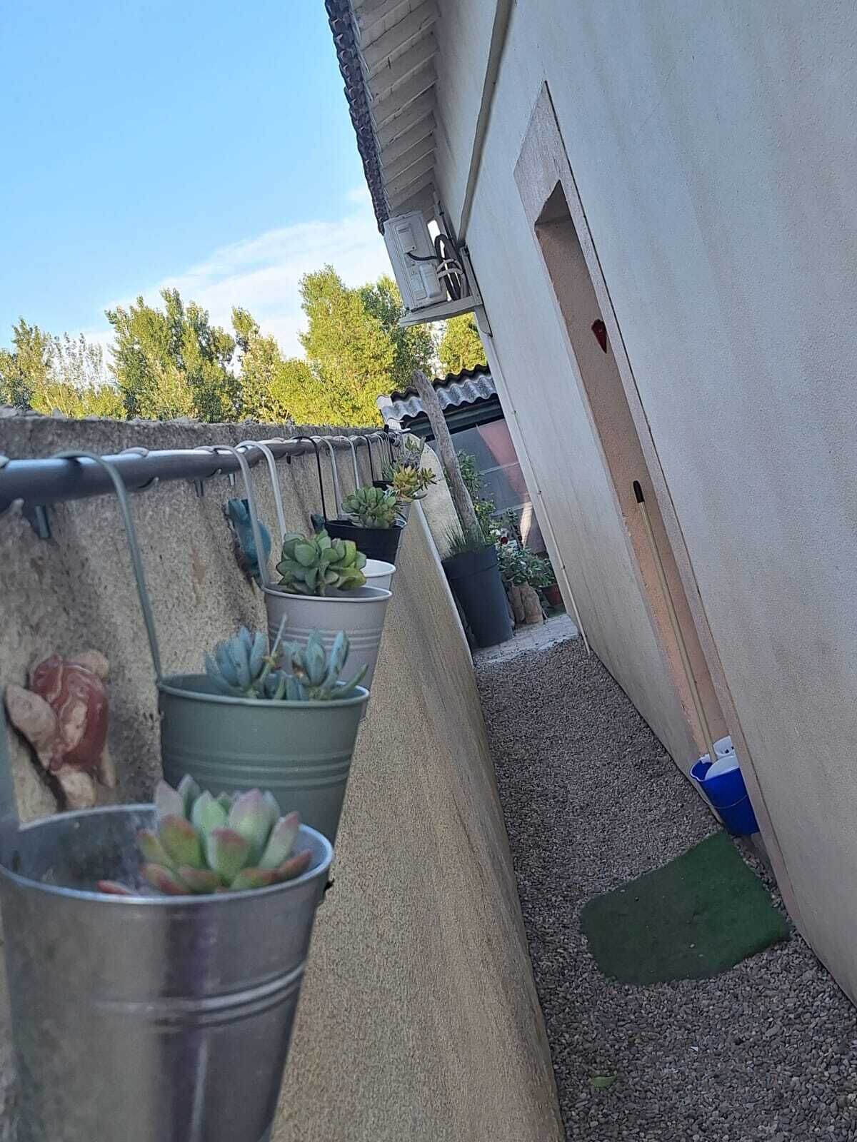 A narrow outdoor space with potted plants, a concrete ledge, and a small door.