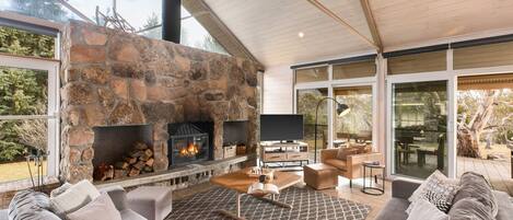 TV, fireplace