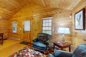 Télévision, cheminée, lecteur de DVD, table de tennis de table