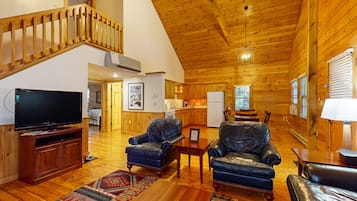 Télévision, cheminée, lecteur de DVD, table de tennis de table