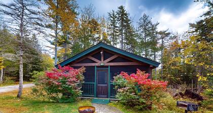 Adventure ready studio cabin with wooded views, fireplace, & AC