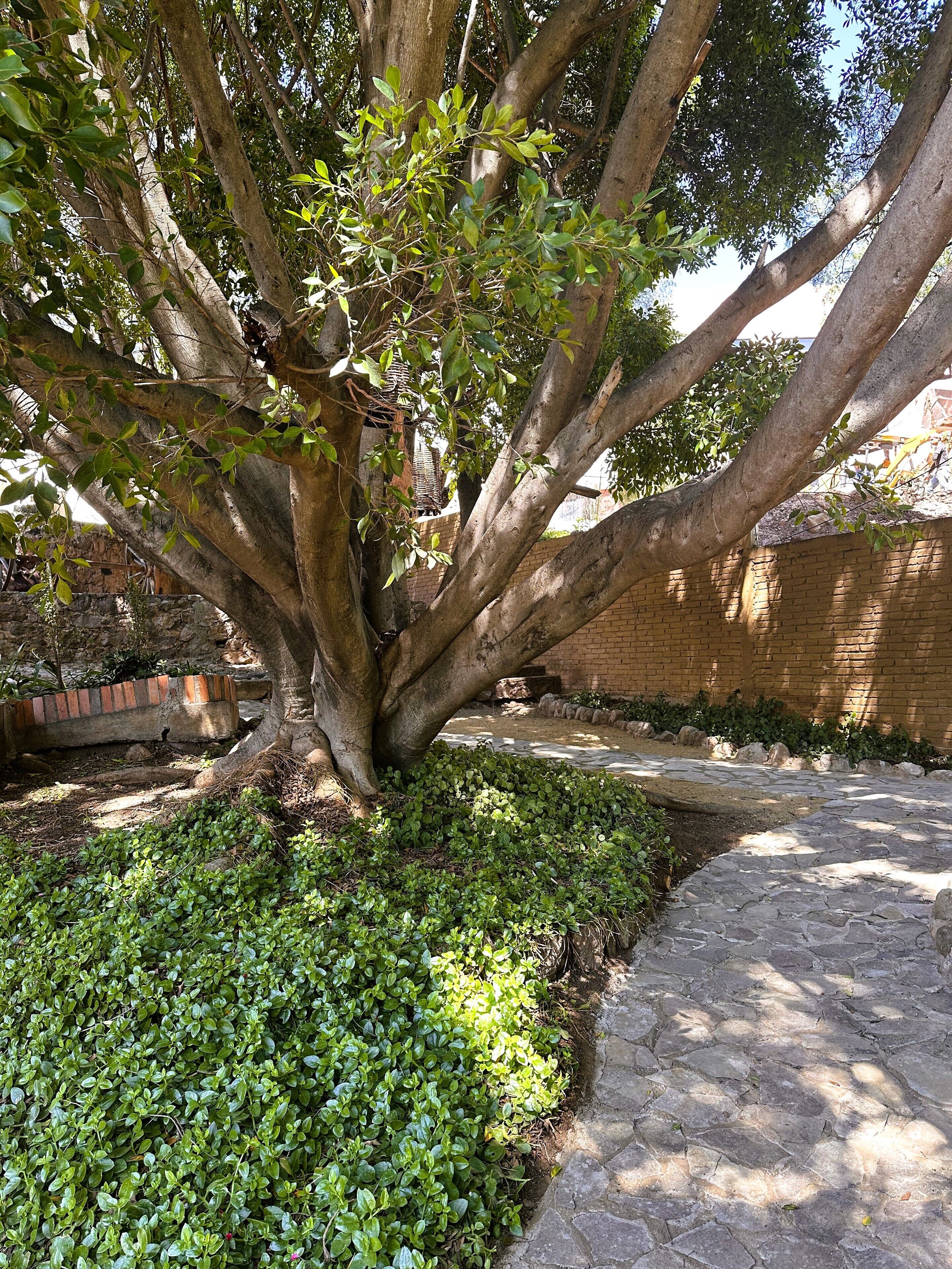 Photo - Casona San Cayetano Suites & Lofts & Spa by SCE