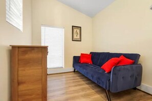 Smart TV, chimenea y libros 