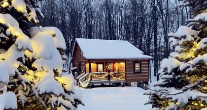 EverGreenGrove-Hemlock2BR/1 BA/Dog Friendly/Hottub