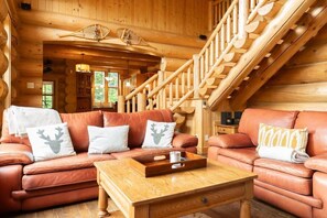 TV, fireplace, books