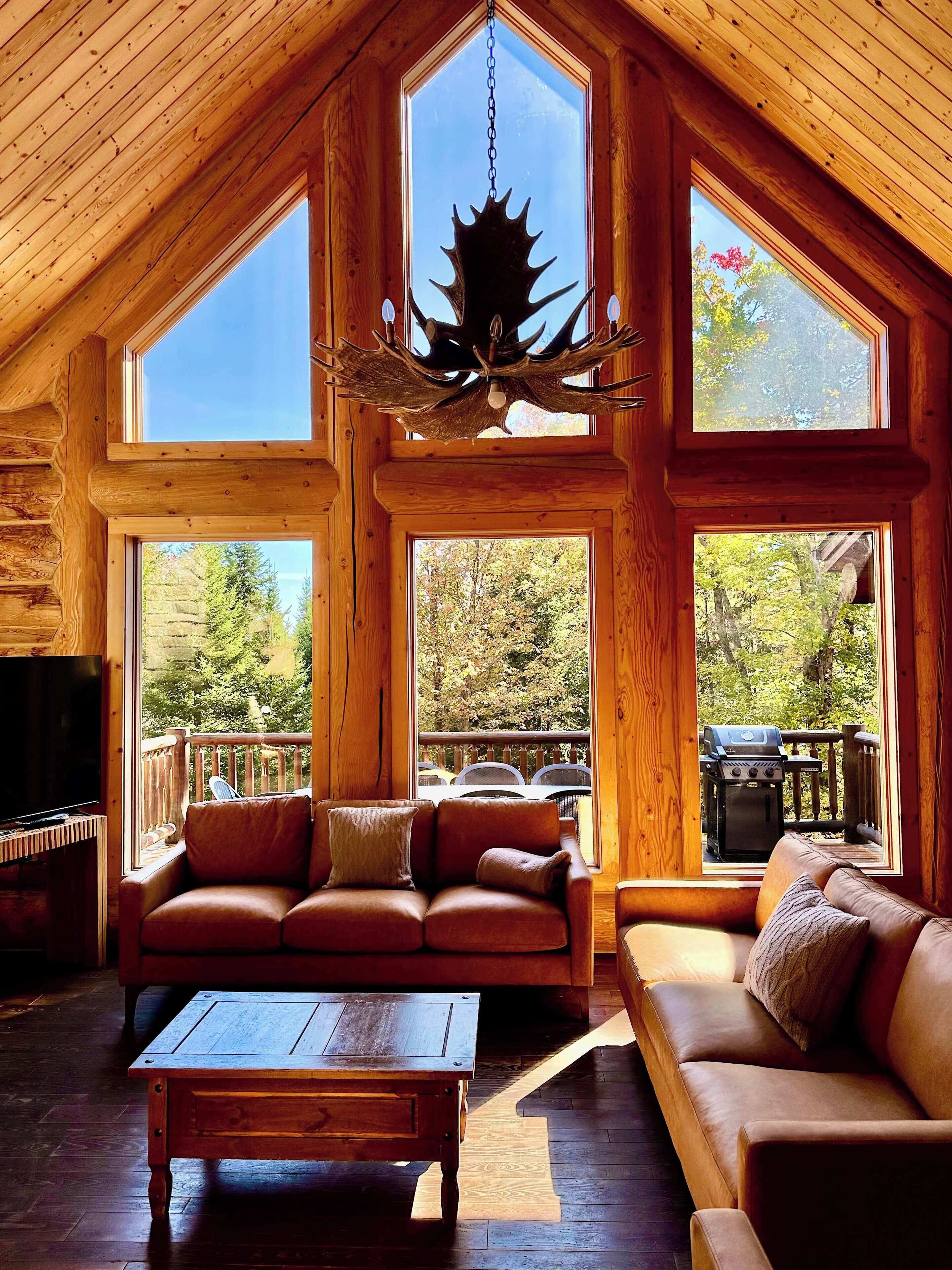 Téléviseur, foyer, livres