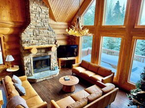 テレビ、暖炉、書庫