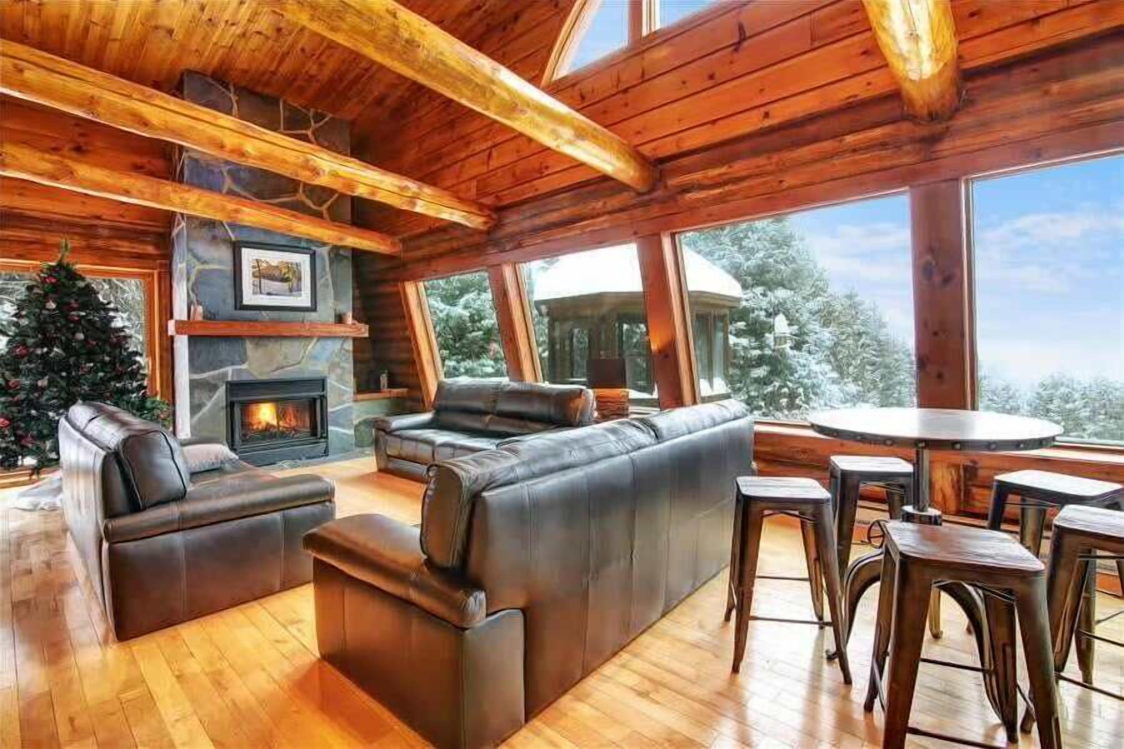 テレビ、暖炉、書庫、ステレオ