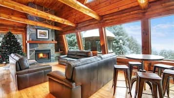 TV, fireplace, books, stereo