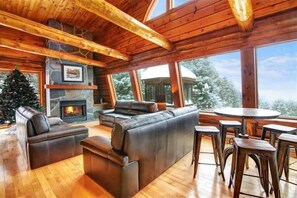 TV, fireplace, books, stereo