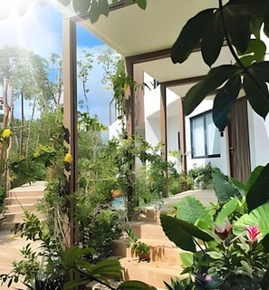 Property grounds - Fully equipped 2 bedroom apartment 101 South (Tulum)