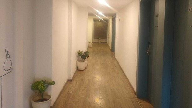 A hallway with wooden flooring, white walls, and a blue door on the right. There are potted plants along the left wall. - Wishotel Xpress Hotel GK Inn  (Dewas)