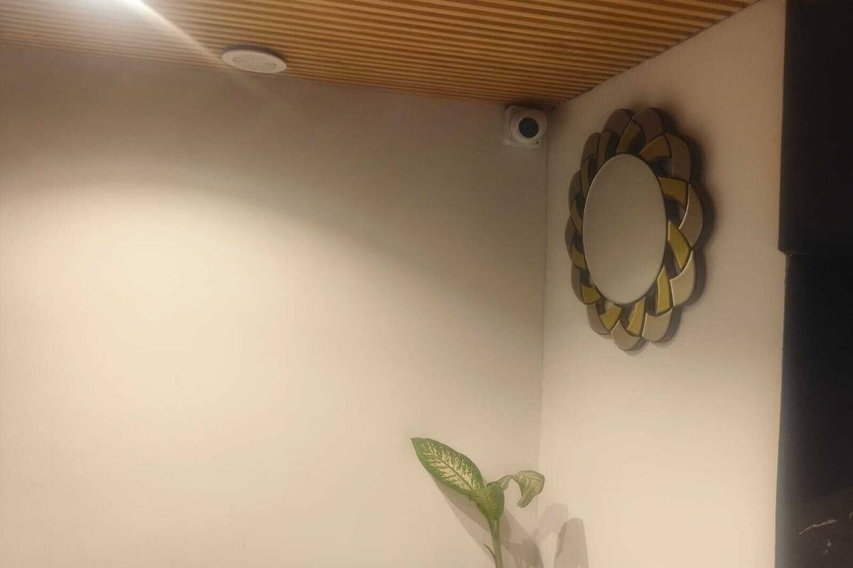A room with a wooden ceiling, a wall-mounted mirror, and a potted plant.
