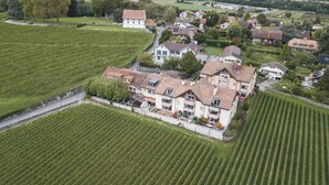 Una grande tenuta con diversi edifici, immersa in ampie vigne.