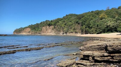 Secluded Nature Lodge with A/C and Wifi in Private Bird Watching Sanctuary 