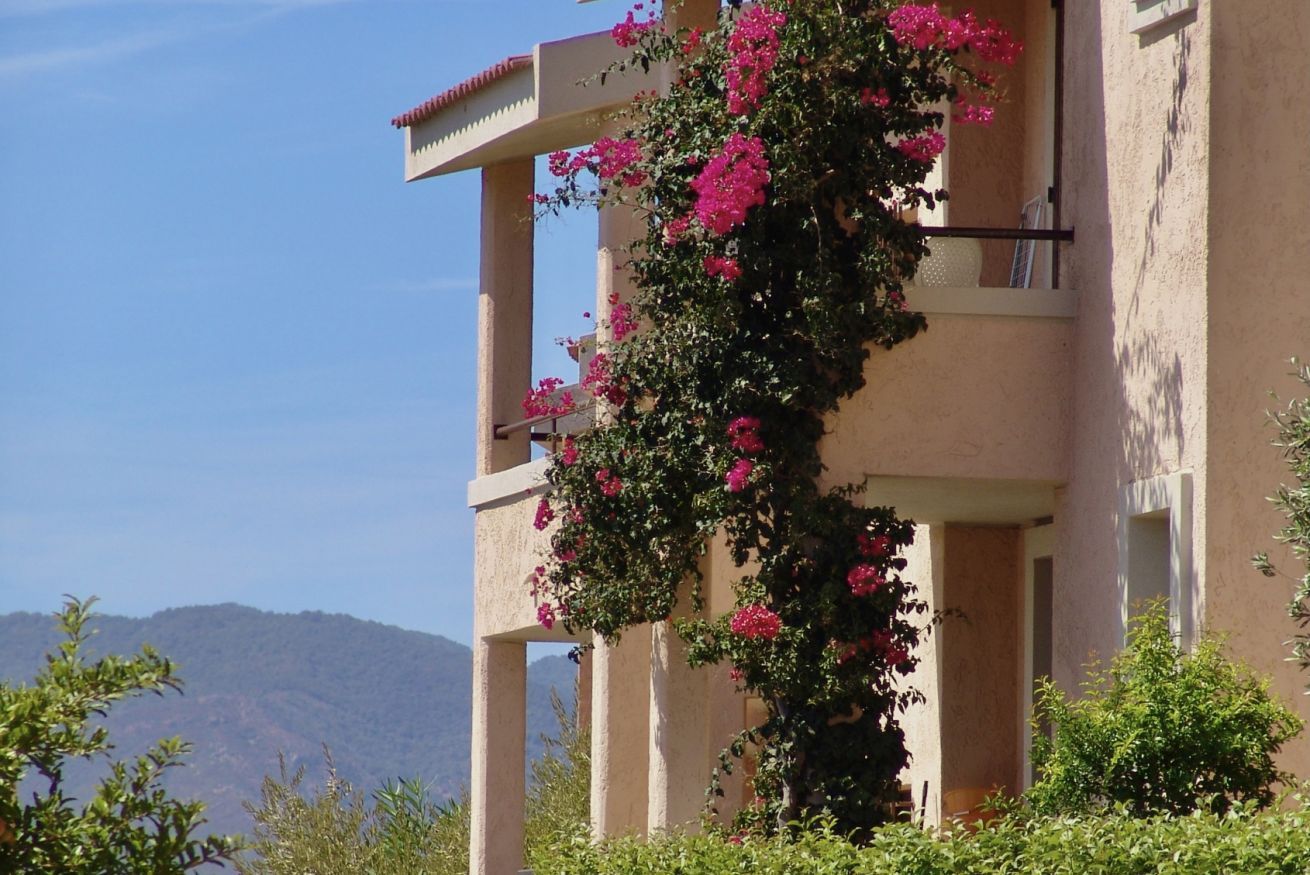 A building with a balcony covered in pink flowers, surrounded by greenery.