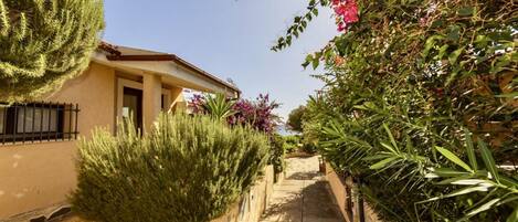 A pathway leading to a building with a beige facade, surrounded by greenery and flowering plants.