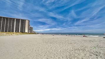 Una spiaggia nelle vicinanze
