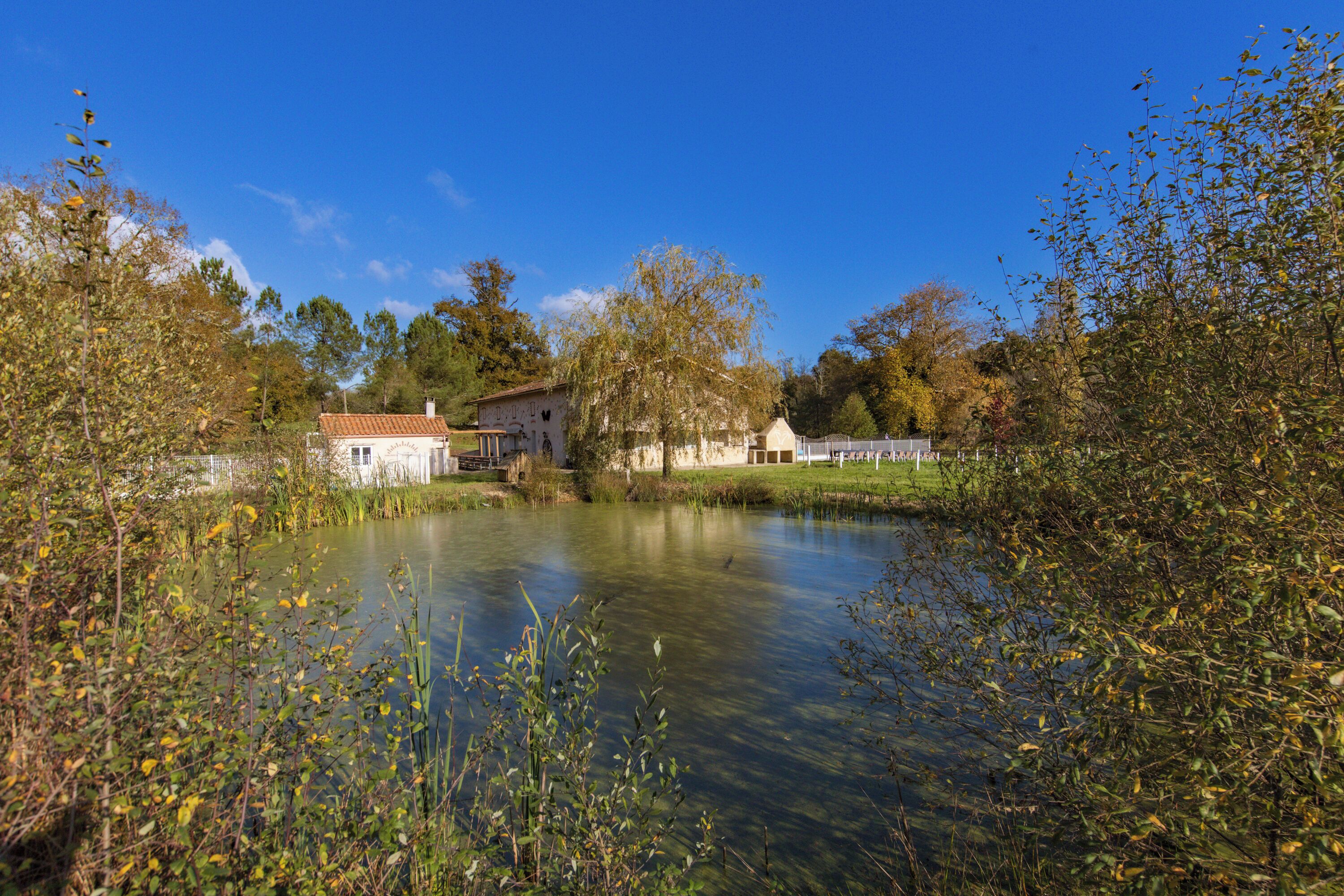 Jardines del alojamiento
