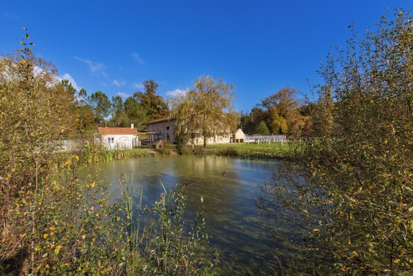 Jardines del alojamiento
