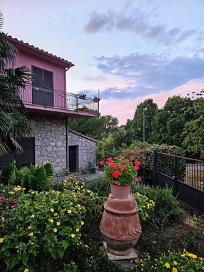 Área da propriedade