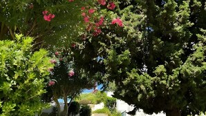 A pathway flanked by lush greenery and flowering plants, leading to a stone wall and a building in the distance. - Apartment 'Casa Oliveira - Algarve' with Sea View, Wi-Fi and Air Conditioning (Porches)