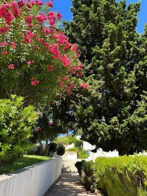 Property grounds - Apartment 'Casa Oliveira - Algarve' with Sea View, Wi-Fi and Air Conditioning (Porches)