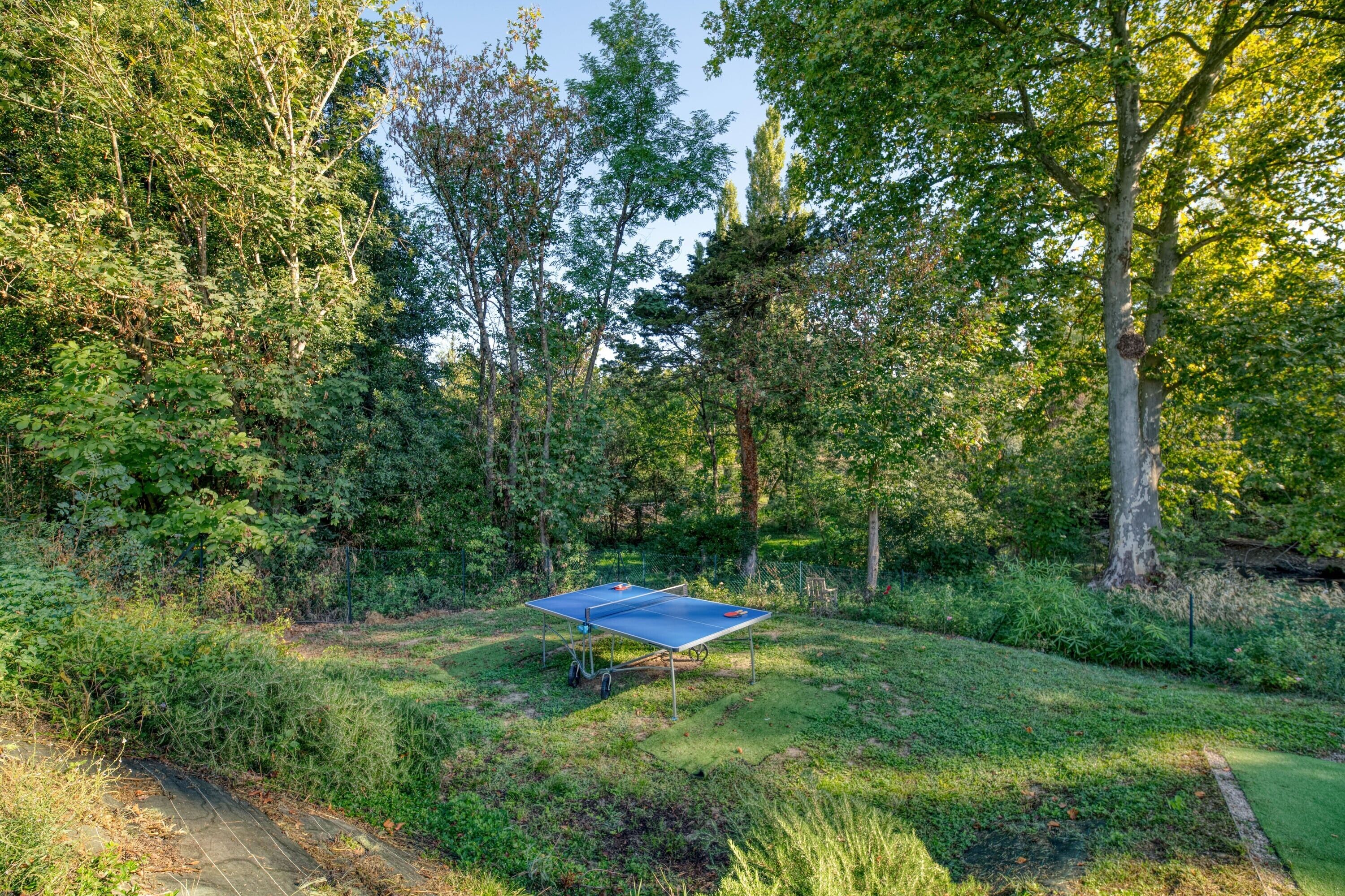 Un tavolo da ping pong in una zona erbosa circondata da alberi.